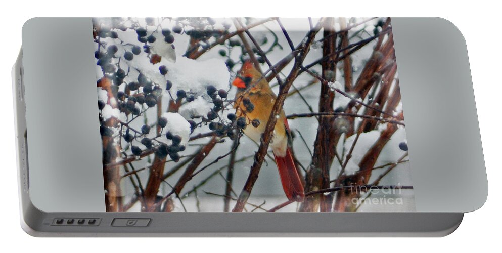 Cardinal Portable Battery Charger featuring the photograph More Than a Cold Snap by Lydia Holly