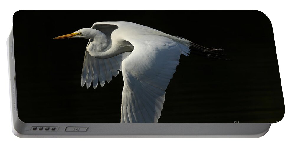 Giant Egret Portable Battery Charger featuring the photograph Morning Beauty by Deborah Benoit