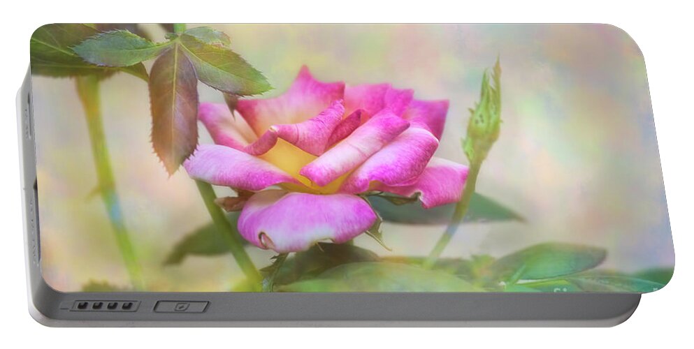 Rose Portable Battery Charger featuring the photograph Morning Delight by Joan Bertucci