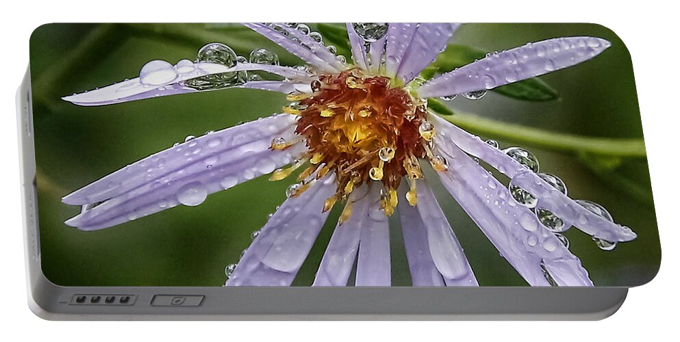 Morning Dew Portable Battery Charger featuring the photograph Morning Dew by Wes and Dotty Weber