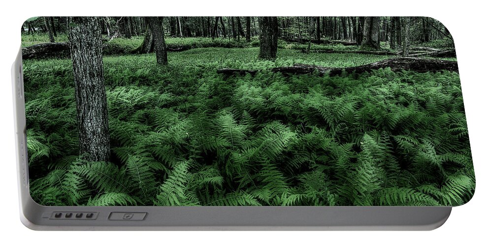 Fern Portable Battery Charger featuring the photograph Morning Fern by Mike Eingle