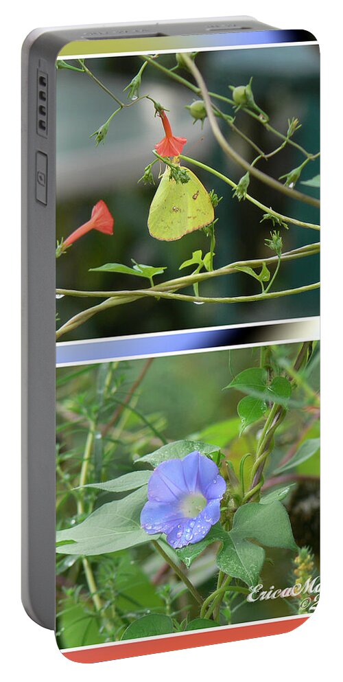 Flower Portable Battery Charger featuring the photograph Morning Glories and Butterfly by Ericamaxine Price