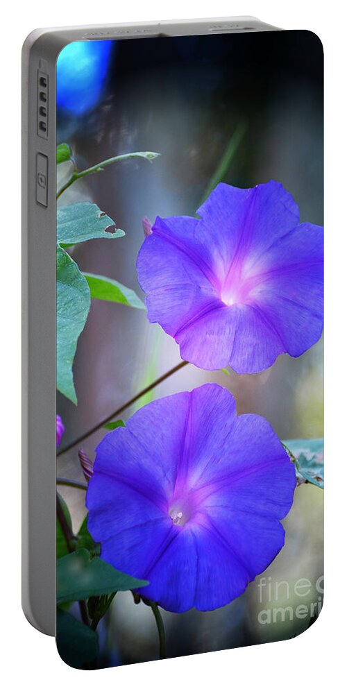 Flowers Portable Battery Charger featuring the photograph Morning Glory by Kathy Baccari