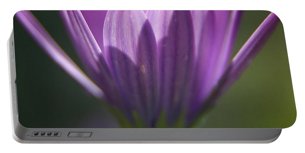 Purple Flower Portable Battery Charger featuring the photograph Morning Glory by Vicki Ferrari