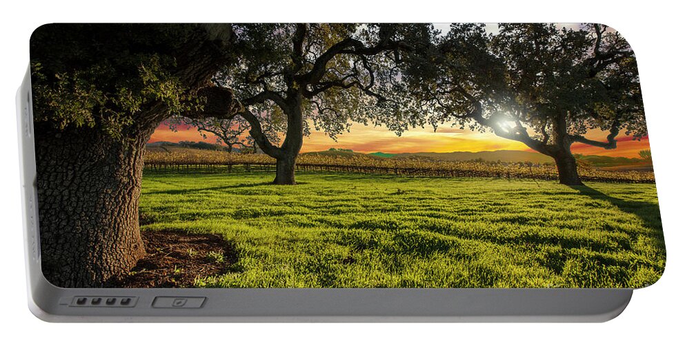 Napa Portable Battery Charger featuring the photograph Morning in Wine Country by Jon Neidert