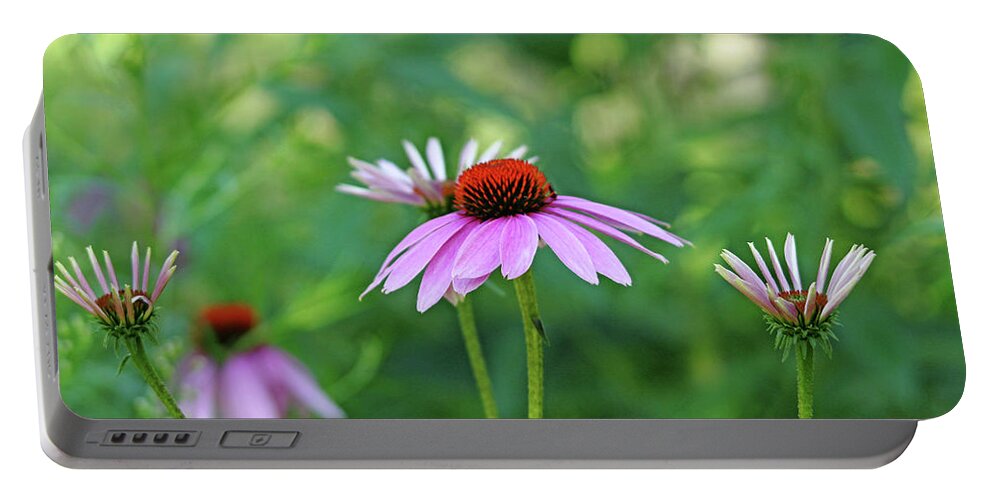 Purple Coneflowers Portable Battery Charger featuring the photograph Morning Light Coneflowers by Debbie Oppermann