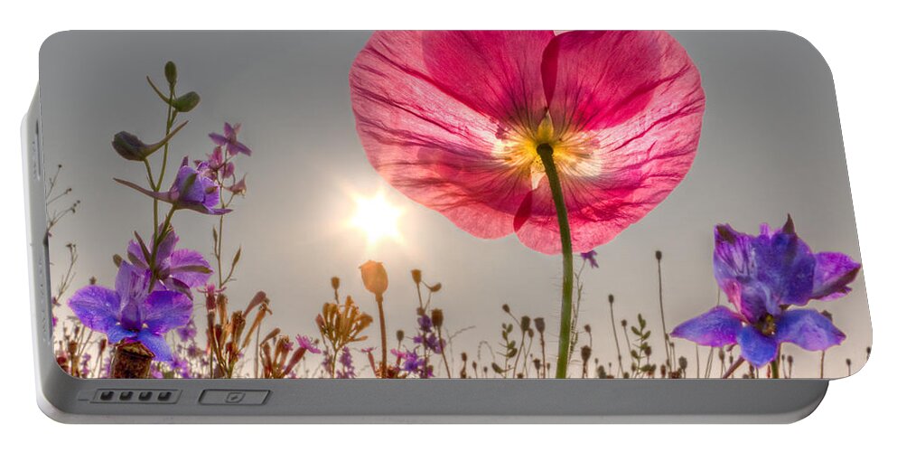 Fog Portable Battery Charger featuring the photograph Morning Pink by Debra and Dave Vanderlaan