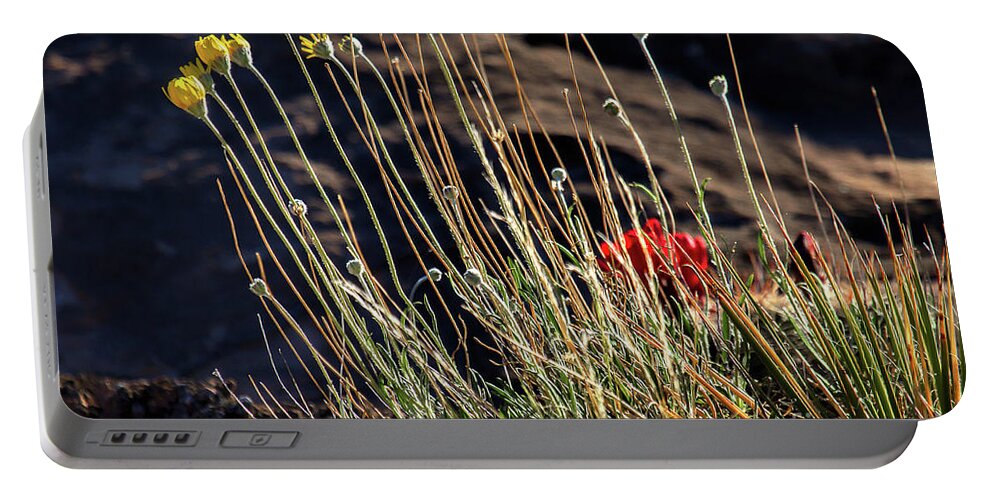 Wildflowers Portable Battery Charger featuring the photograph Morning Praise by Jim Garrison