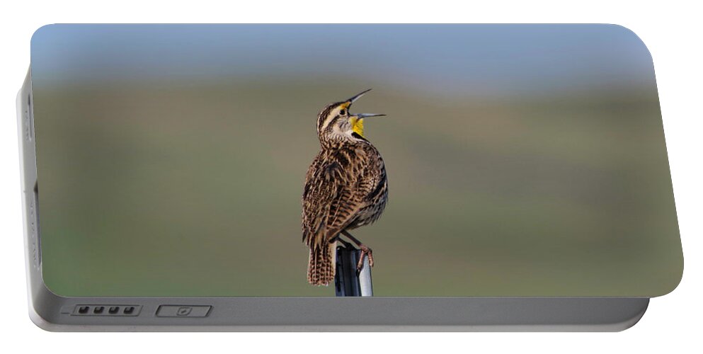Meadowlark Portable Battery Charger featuring the photograph Morning song of a meadowlark by Jeff Swan