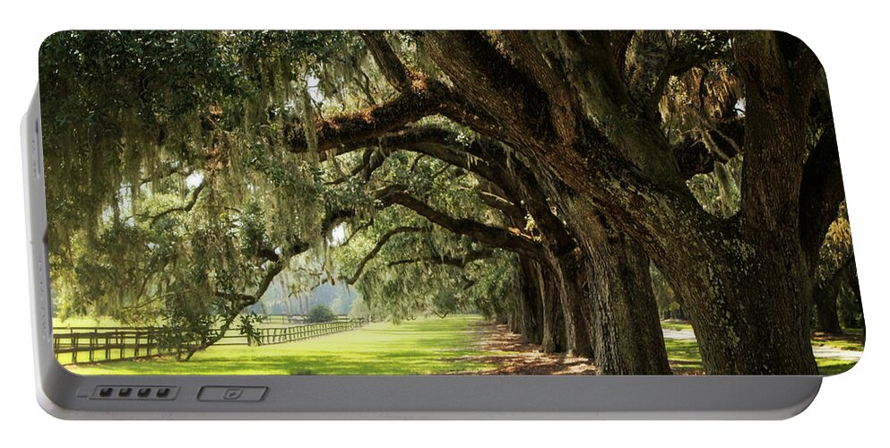 Nature Portable Battery Charger featuring the photograph Morning Under The Mossy Oaks by Sharon McConnell