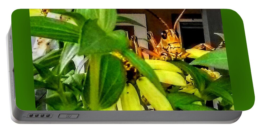 Insect Portable Battery Charger featuring the photograph Morning Visitor by Suzanne Berthier