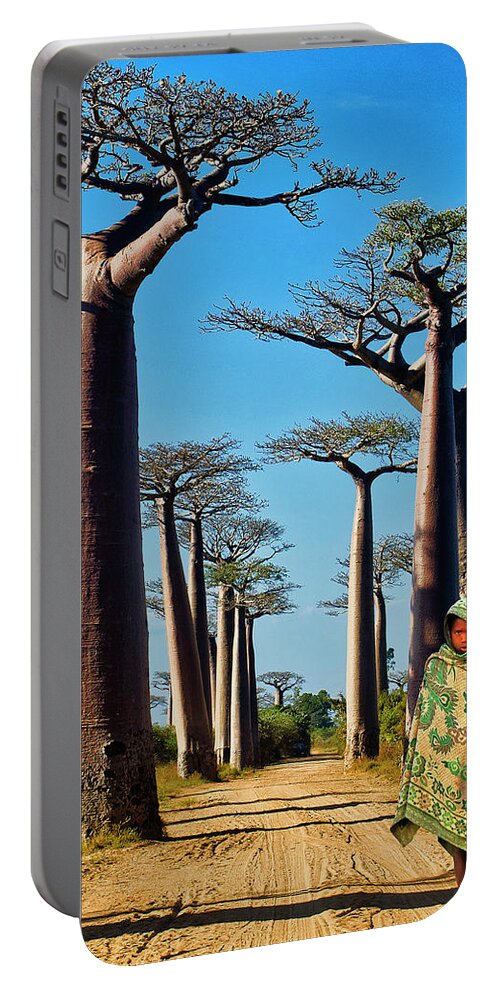 Baobab Trees Portable Battery Charger featuring the photograph Morning Walk Madagascar by Dominic Piperata