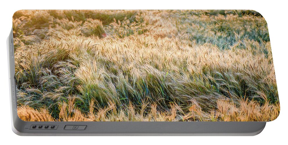 Landscape Portable Battery Charger featuring the photograph Morning Wheat by Joe Shrader