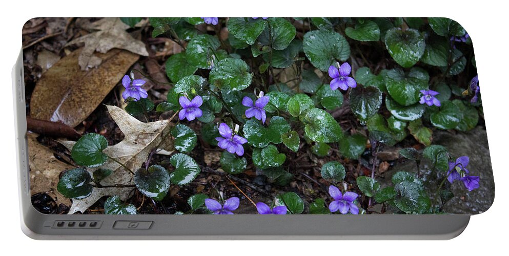 Woods Portable Battery Charger featuring the photograph Morning Wild Violets by Patricia Babbitt