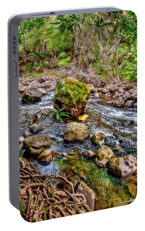 Rocks Portable Battery Charger featuring the photograph Mossy Boulder by Christopher Holmes