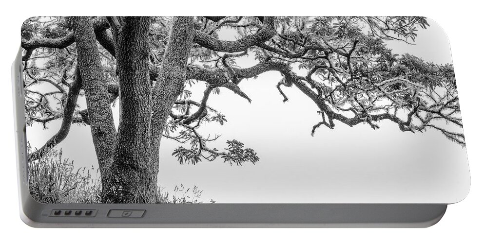 Mossy Tree Portable Battery Charger featuring the photograph Mossy Tree by Christopher Johnson