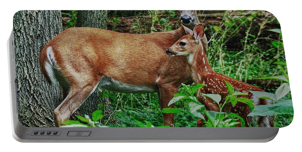 Deer Portable Battery Charger featuring the photograph Mother and Child by Mark Fuller