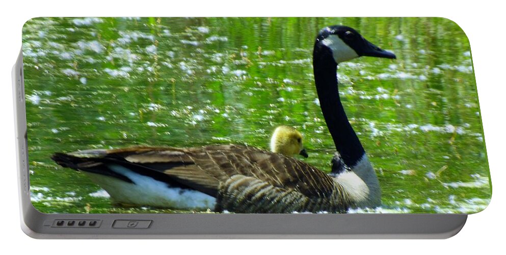 Mother Portable Battery Charger featuring the photograph Mother Goose by Robyn King