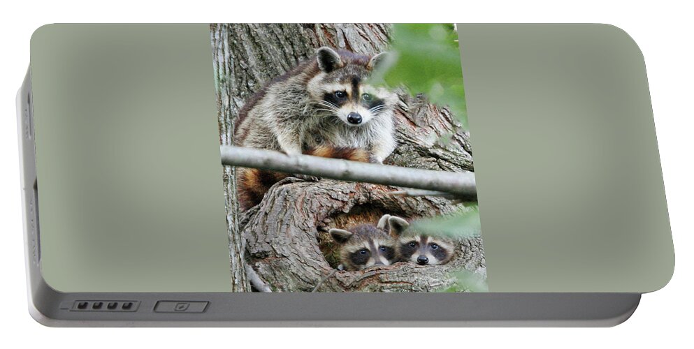 Nature Portable Battery Charger featuring the photograph Mother is Watching by Gina Fitzhugh