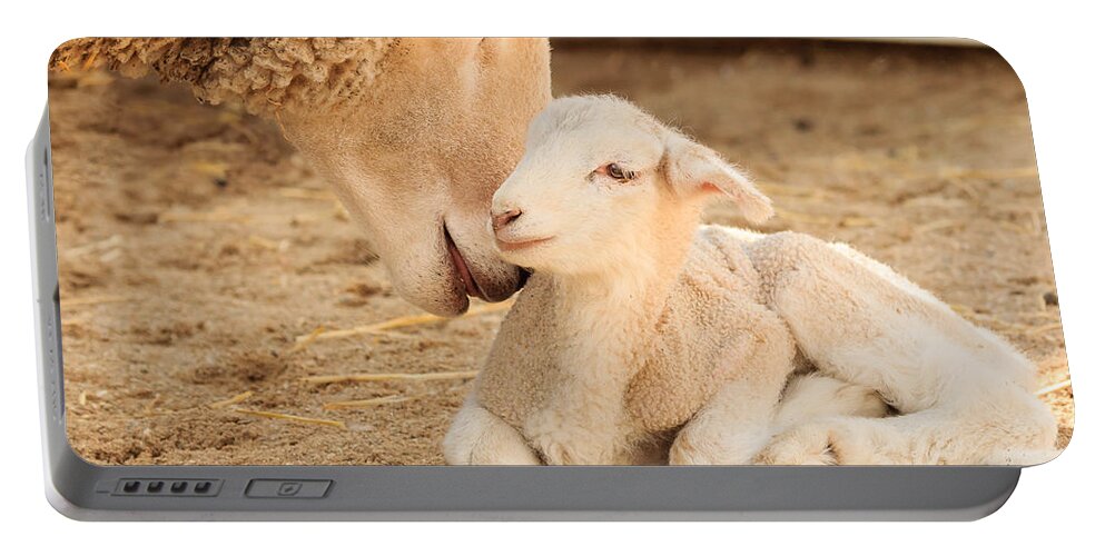 Cosley Zoo Portable Battery Charger featuring the photograph Mother Sheep with Newborn Lamb by Joni Eskridge