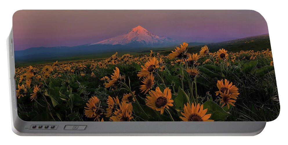 Mount Hood Portable Battery Charger featuring the photograph Mount Hood and Balsam Root Blooming in Spring by David Gn