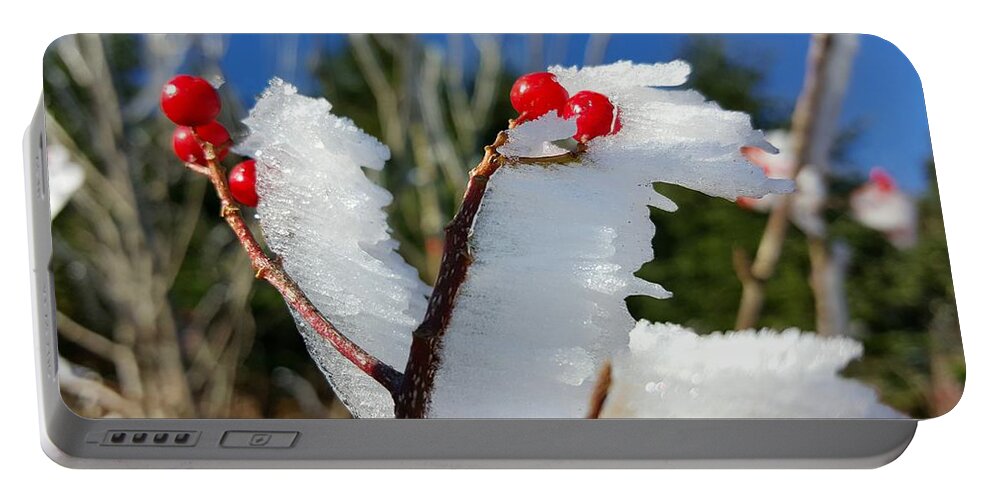 Frost Formations Portable Battery Charger featuring the photograph Mount Mitchell Frost 07 by William Slider
