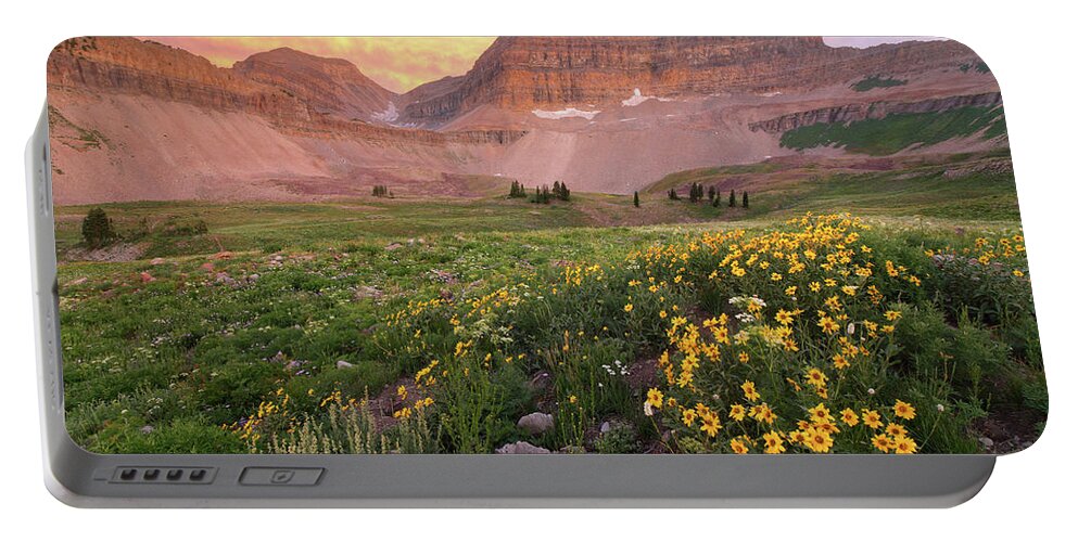 Utah Portable Battery Charger featuring the photograph Mount Timpanogos Wildflower Sunset - Utah by Brett Pelletier