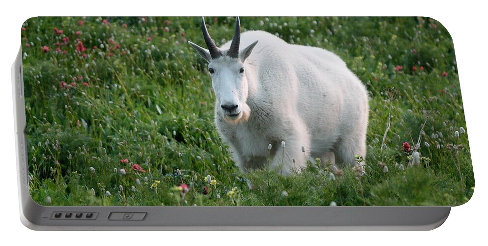 Mountain Goat Portable Battery Charger featuring the photograph Mountain Goat and Wildflowers by Brett Pelletier