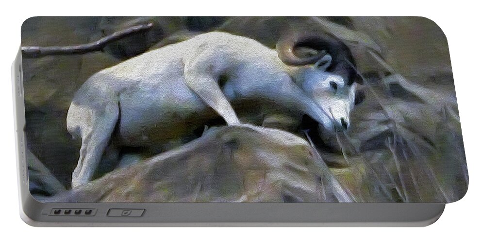 2d Portable Battery Charger featuring the photograph Mountain Goat by Brian Wallace