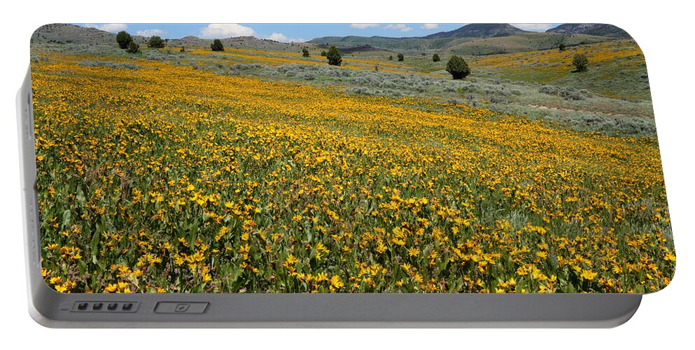 No People Portable Battery Charger featuring the photograph Mountain Meadows of Yellow Wildflowers by Brett Pelletier