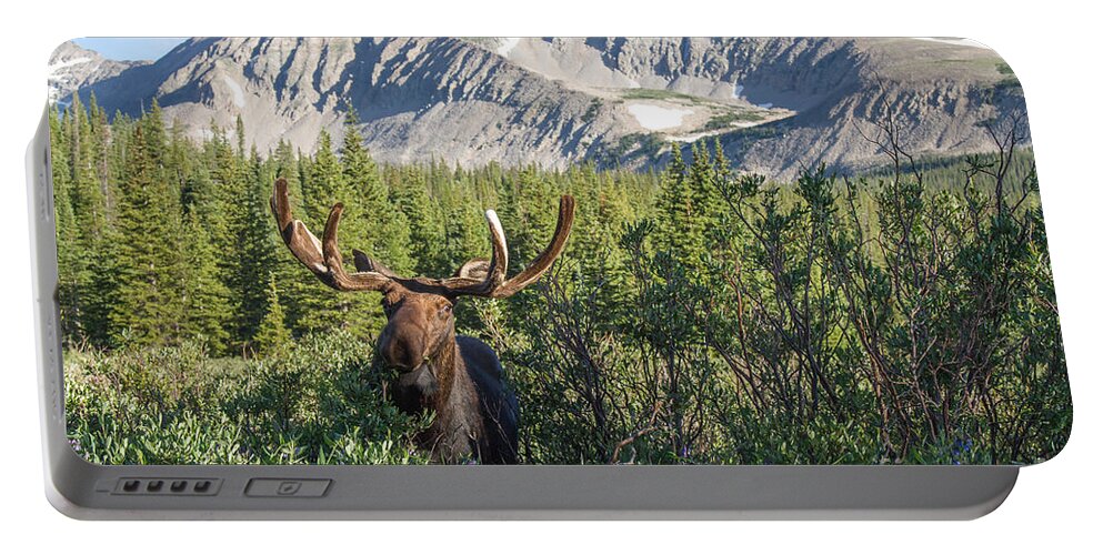 Moose Portable Battery Charger featuring the photograph Mountain Moose by Chris Scroggins