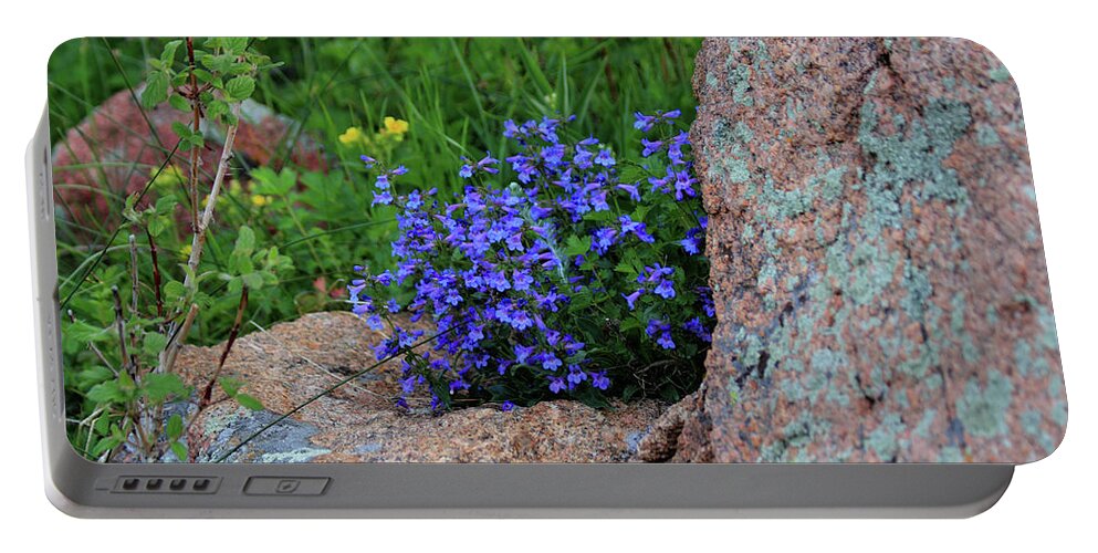 Nature Portable Battery Charger featuring the photograph Mountain Wildflowers by Shane Bechler
