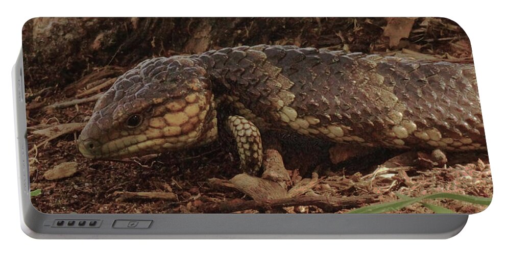 Bobtail Portable Battery Charger featuring the photograph Mr Bobtail II by Cassandra Buckley