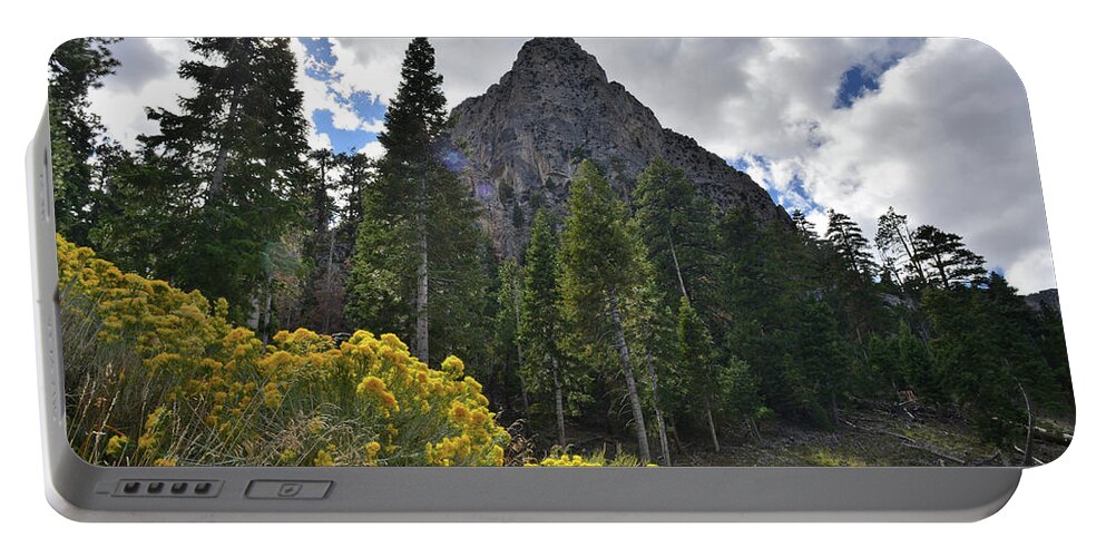Humboldt-toiyabe National Forest Portable Battery Charger featuring the photograph Mt. Charleston Basin by Ray Mathis