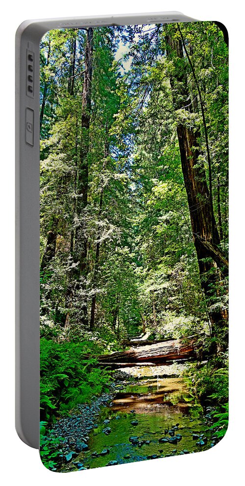 Muir Portable Battery Charger featuring the photograph Muir Woods Study 22 by Robert Meyers-Lussier