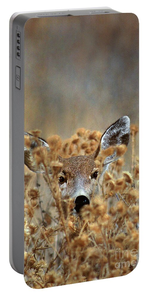 Dave Welling Portable Battery Charger featuring the photograph Mule Deer Odocoileus Hemionus Wild California by Dave Welling