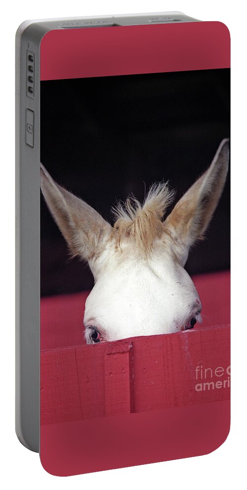 Mule Portable Battery Charger featuring the photograph Mule Ears by Carien Schippers