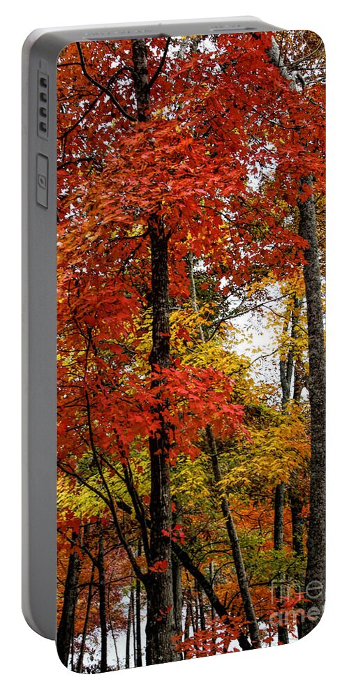 Fall Portable Battery Charger featuring the photograph Multi-colored Leaves by Barbara Bowen