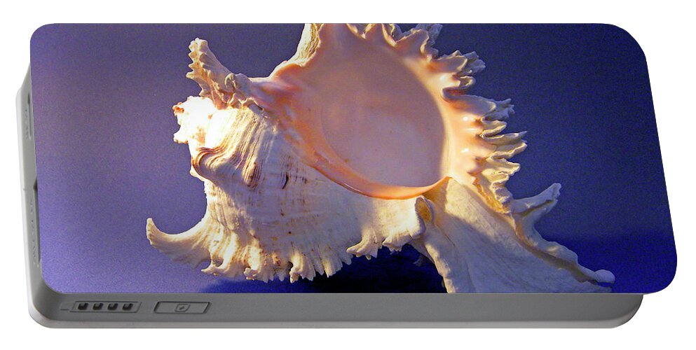 Frank Wilson Portable Battery Charger featuring the photograph Murex ramosus Seashell by Frank Wilson