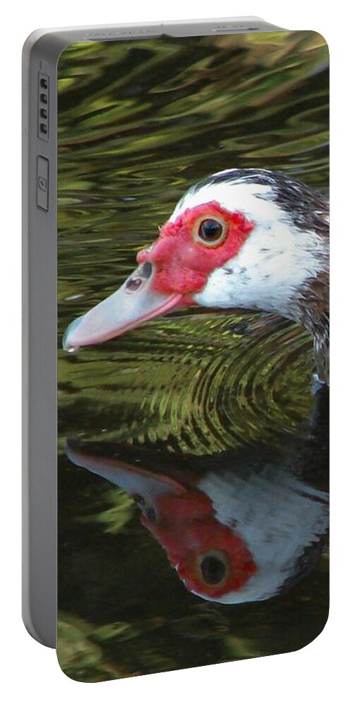 Duck Portable Battery Charger featuring the photograph Muscovy Reflection by Carl Moore