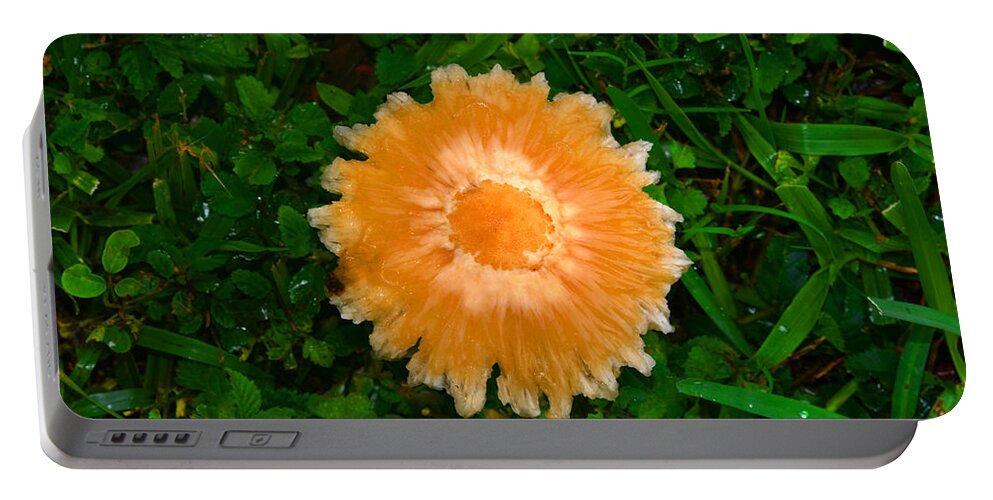 Mushroom Portable Battery Charger featuring the photograph Mushroom and green by David Lee Thompson