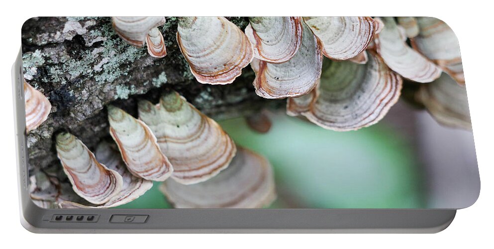 Tree Portable Battery Charger featuring the photograph Mushroom Madness by Mary Anne Delgado