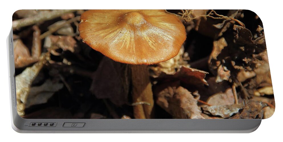 Mushroom Portable Battery Charger featuring the photograph Mushroom Rising by Allen Nice-Webb