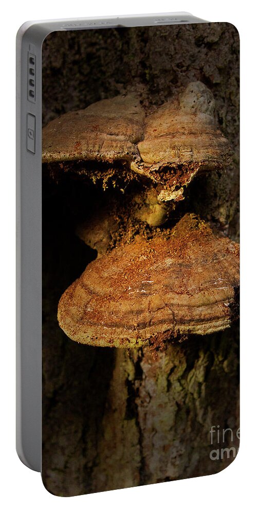 Mushroom Portable Battery Charger featuring the photograph Mushroom-Signed-#4207 by J L Woody Wooden