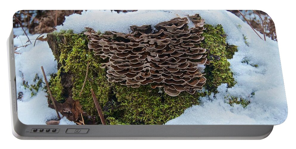 Mushroom Portable Battery Charger featuring the photograph Mushrooms and Moss by Michael Peychich