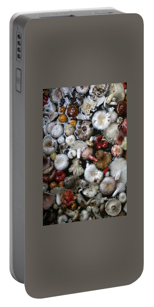 Art Portable Battery Charger featuring the painting Mushrooms in Thailand by Jeremy Holton
