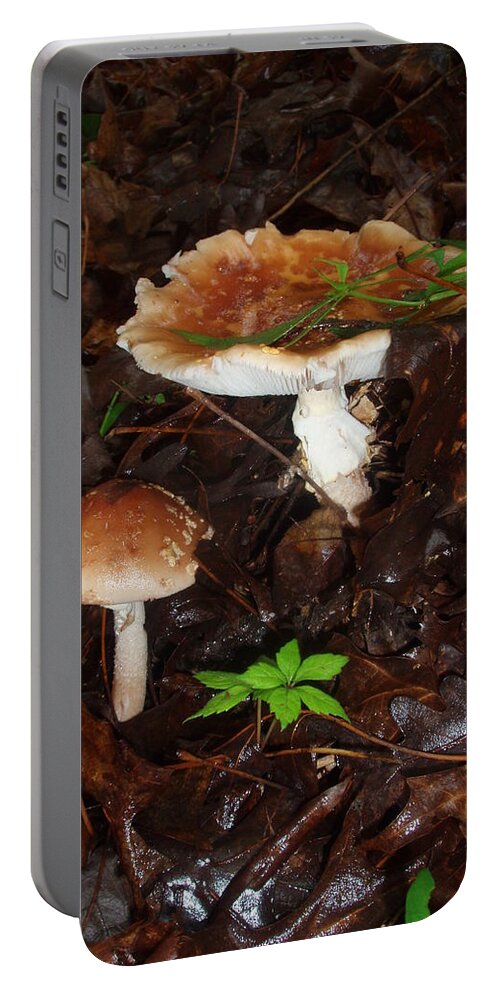 Mushrooms Portable Battery Charger featuring the photograph Mushrooms Rising by Allen Nice-Webb