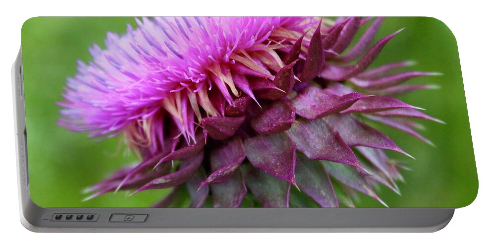 Photograph Portable Battery Charger featuring the photograph Musk Thistle Blooming by M E