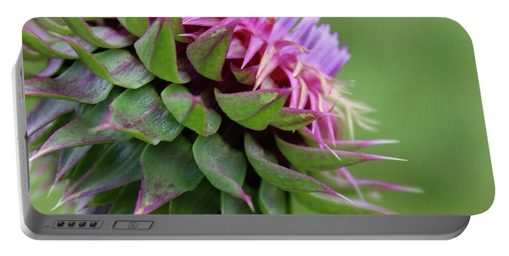 Photograph Portable Battery Charger featuring the photograph Musk Thistle in Bloom by M E