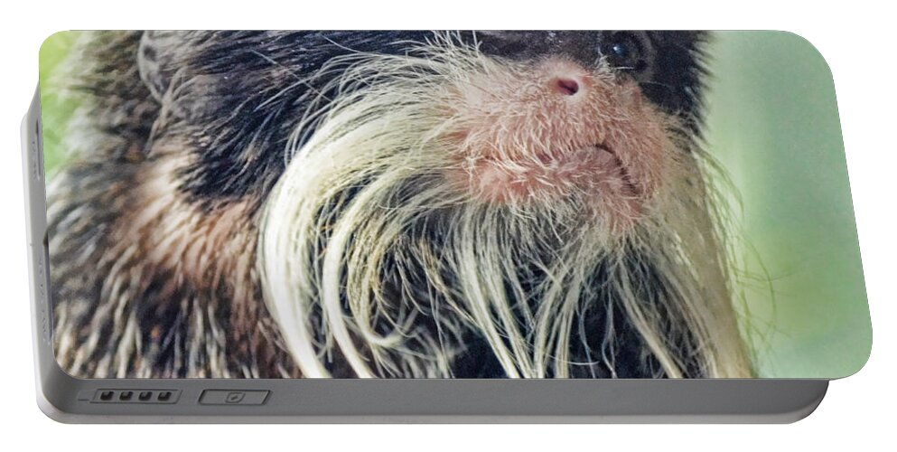 Mustached Monkey Portable Battery Charger featuring the photograph Mustache Monkey Watching His Friends at Play by Jim Fitzpatrick